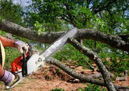 Leaf Removal in Marshall, WI